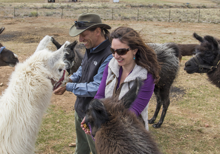 Leah and Stuart Wilde of Wild Earth Llama Adventures